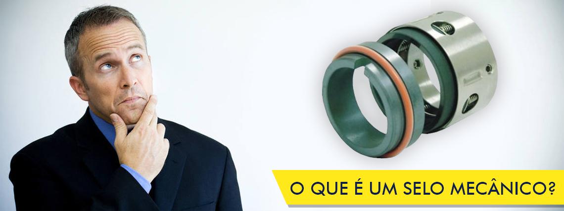 O QUE É UM SELO MECÂNICO?